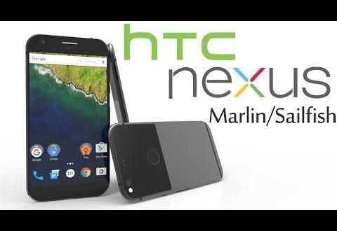 HTC Nexus Salfish e Marlin