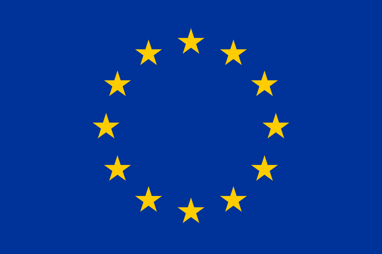 Unione Europea EU Google