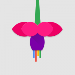 Google Fuchsia