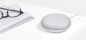 Google Home Mini Google Assistant