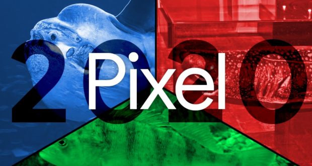 Google Pixel 2020