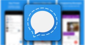 Signal