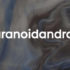 Paranoid-Android-10-620x330