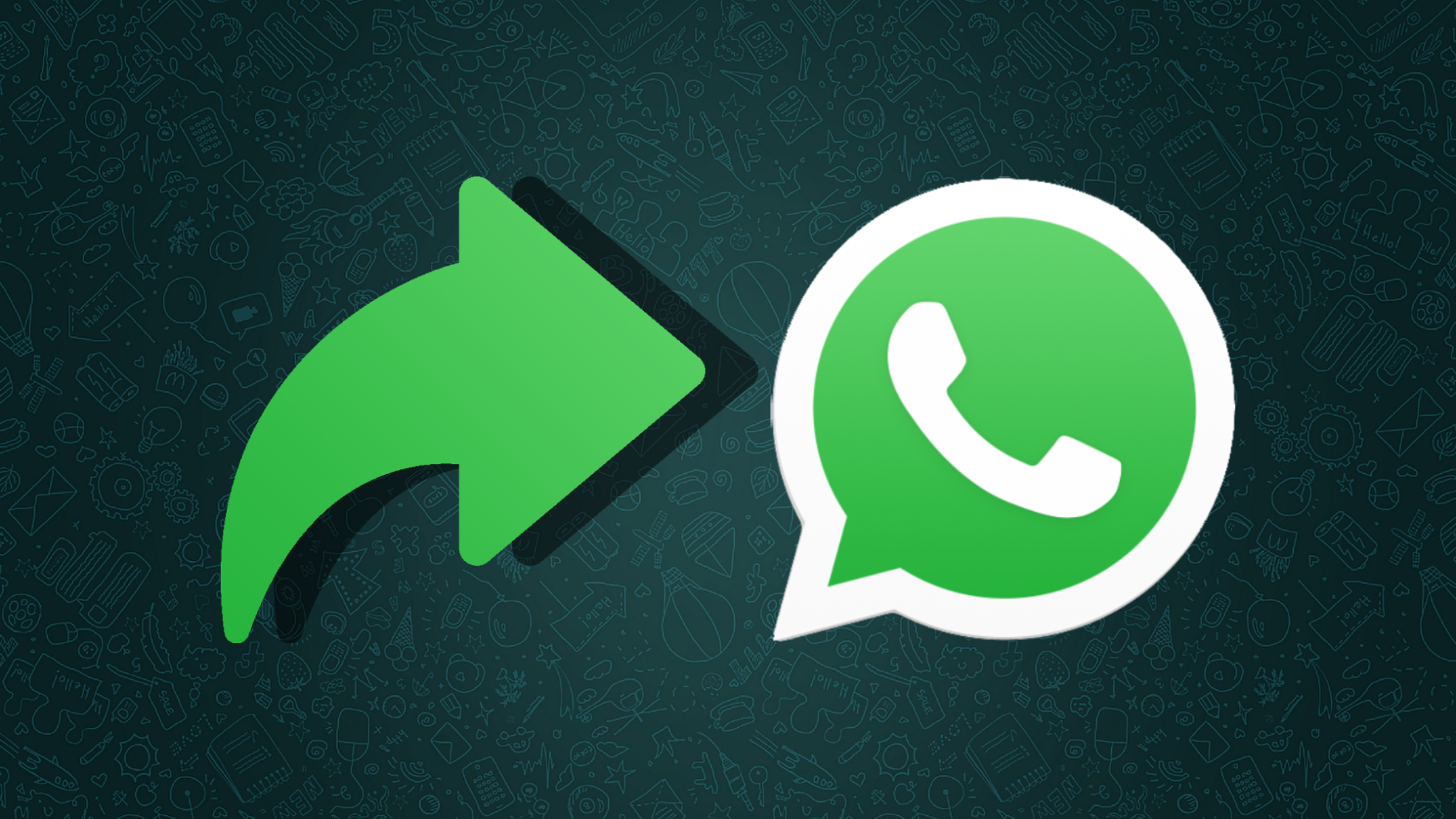 WhatsApp limite inoltro messaggi