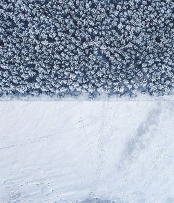 0101_Transcendent_White_Square