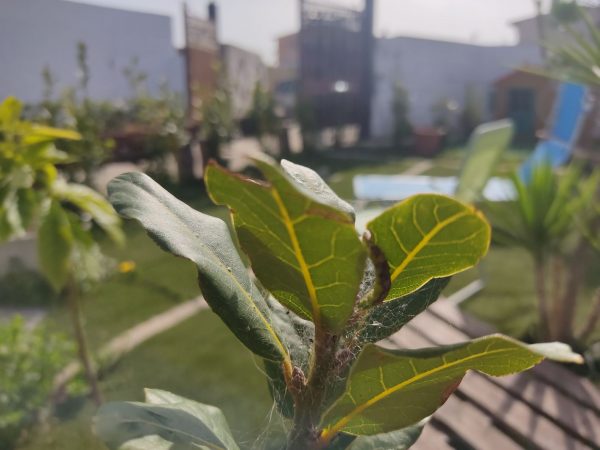 Recensione Redmi Note 9S (1)