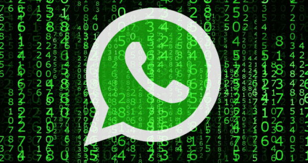 WhatsApp crittografia backup