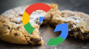 Google cookie FLoC Topics API