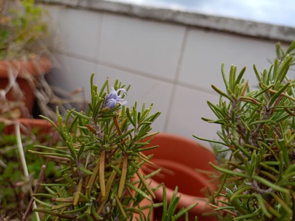 IMG20230320154434