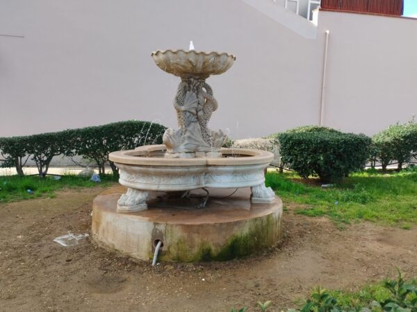 IMG_20230307_085156