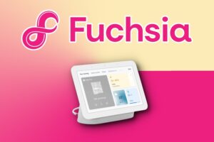 Fuchsia OS 12